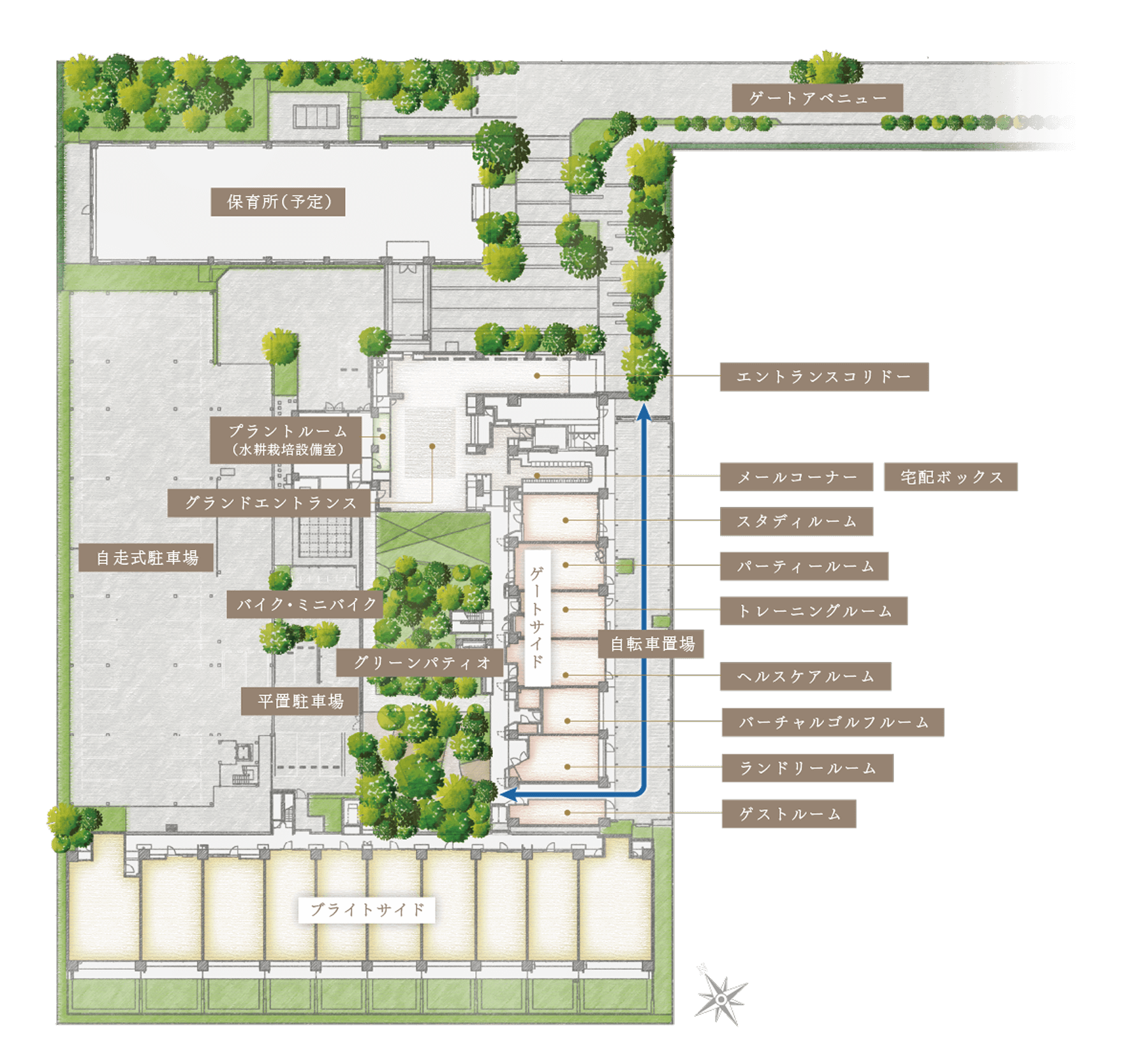 敷地配置・一階平面イメージイラスト