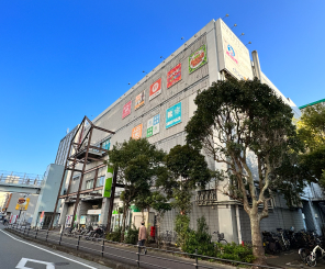 ダイエー海老名店（約1,300m／徒歩17分）