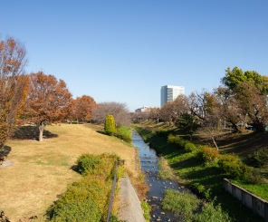 県立相模三川公園（約1,440m／徒歩18分）