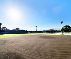 海老名運動公園 野球場（約4,550m／徒歩57分）