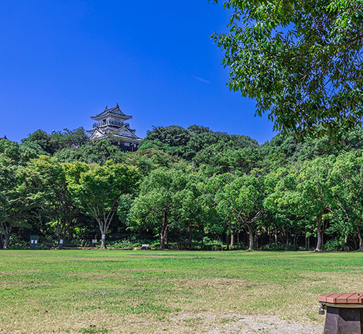浜松城公園／浜松城（徒歩1,540分/約20m）