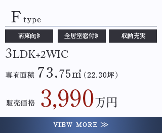 Ftype
