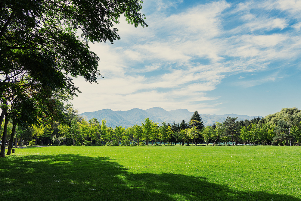 手稲稲積公園（車7分／約4.2km）