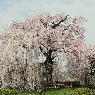 円山公園（車9分・約5.8km）
