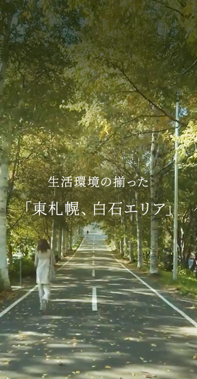 白石ここロード（徒歩8分／620m）