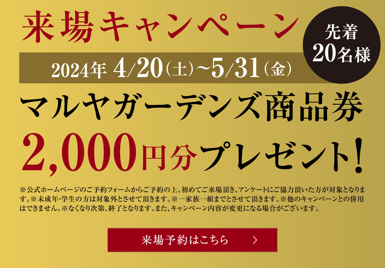 新春来場キャンペーン〈先着20名様〉 JCBギフト券5,000円分をプレゼント！