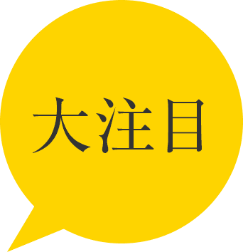 大注目