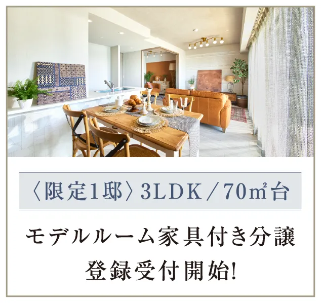 限定１邸 3LDK/70㎡台 モデルルーム家具付き分譲登録受付開始
