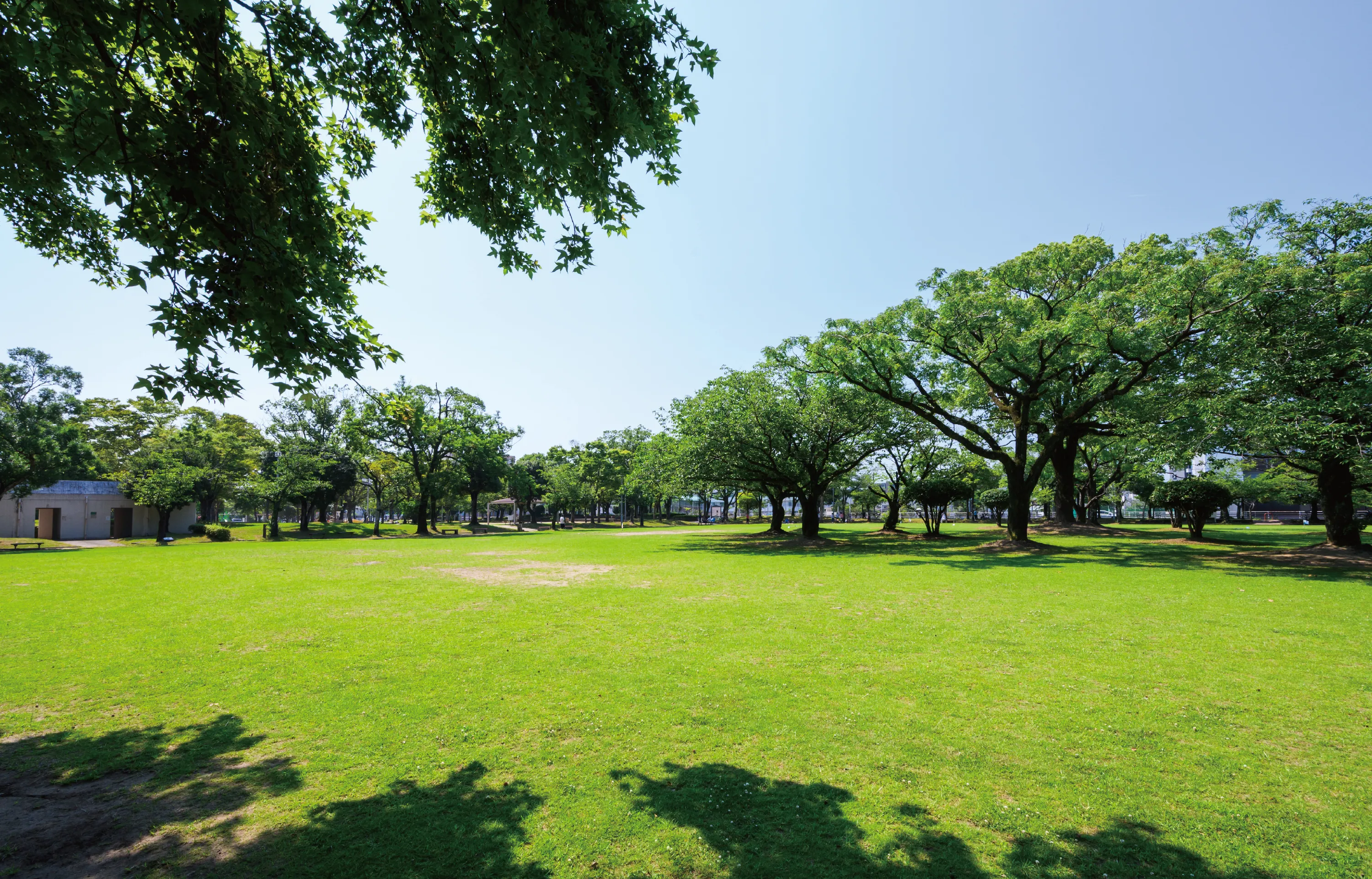 宮崎中央公園（文化の森）