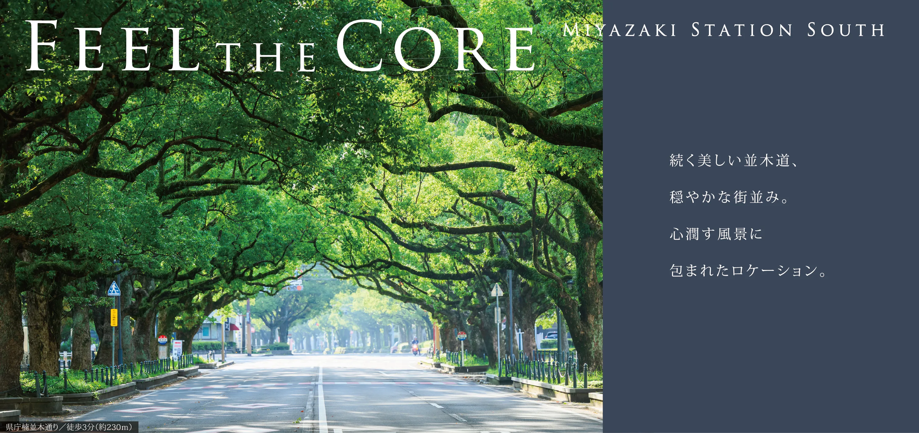 FEEL THE CORE MIYAZAKI STATION SOUTH