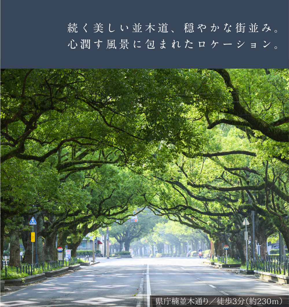 FEEL THE CORE MIYAZAKI STATION SOUTH