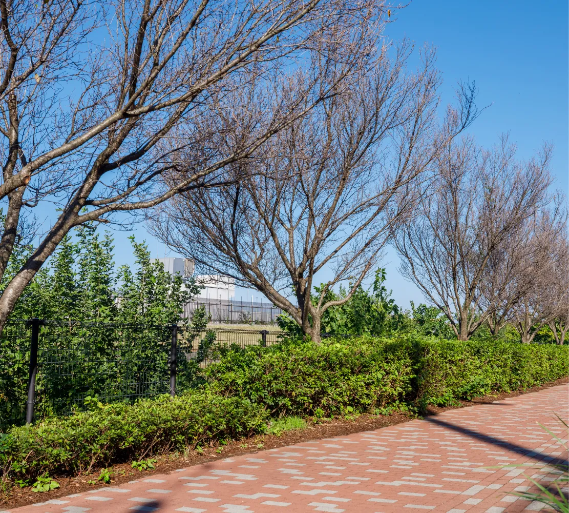 空堀川遊歩道 img