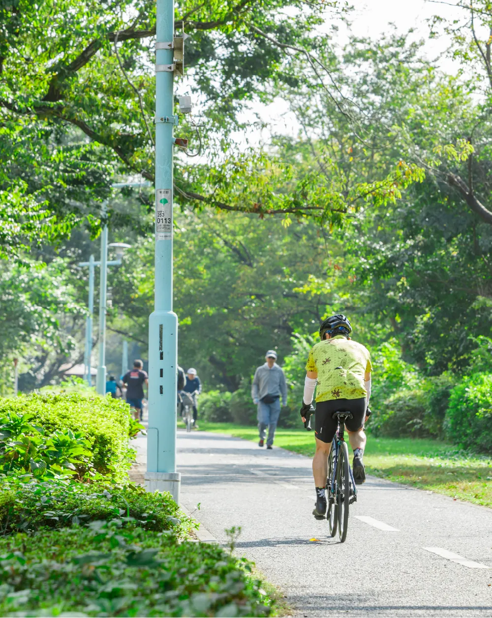 自転車道コース img