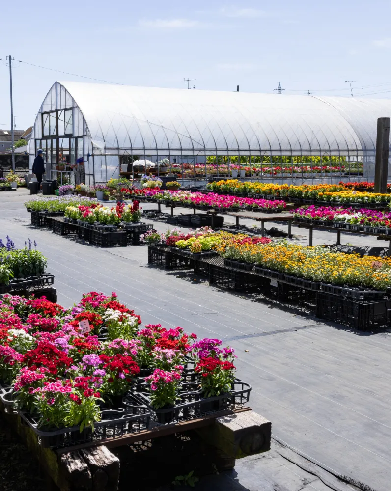 カルチャーコース img