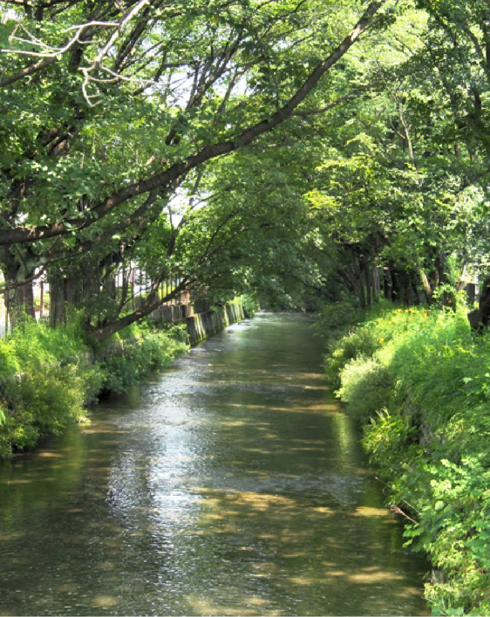 玉川上水コース img