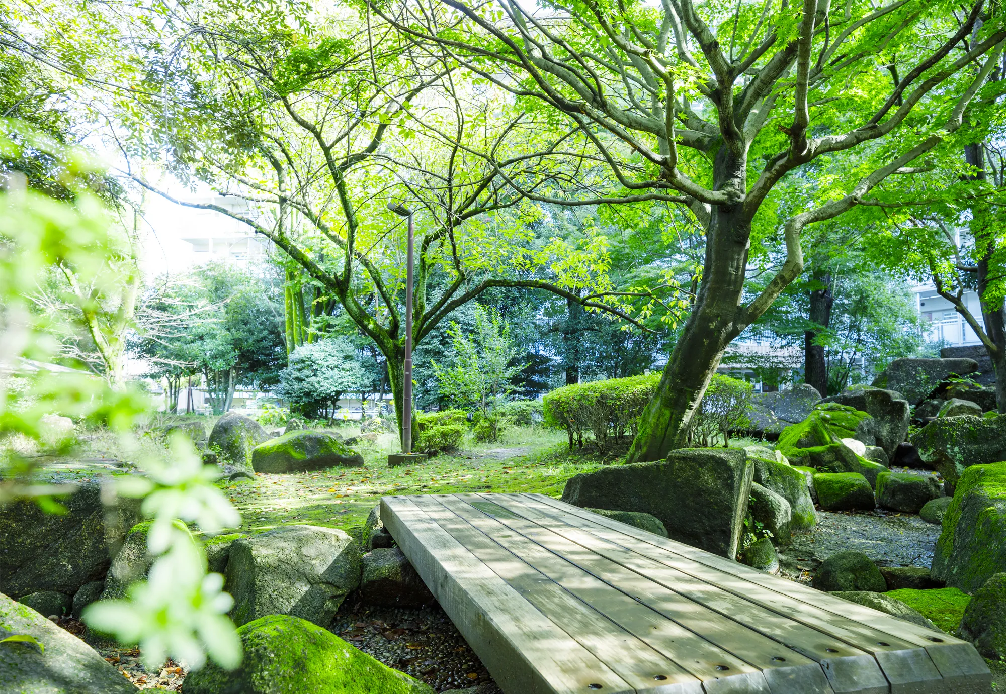 九道の辻公園（徒歩4分/約270ｍ）