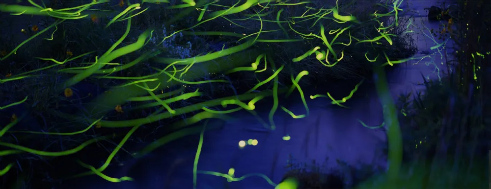 MAMA’S COMMENT 背景