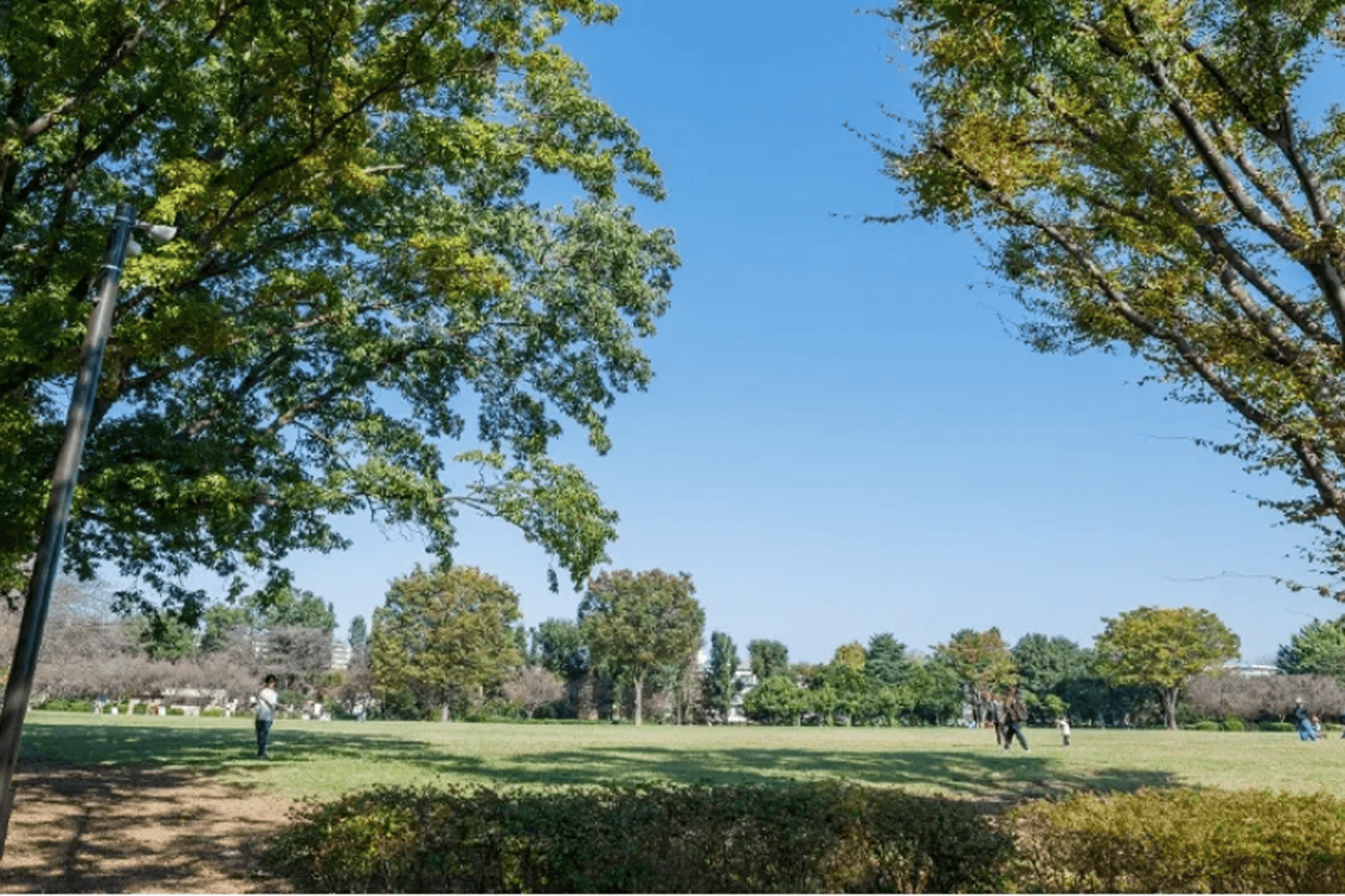 東村山中央公園