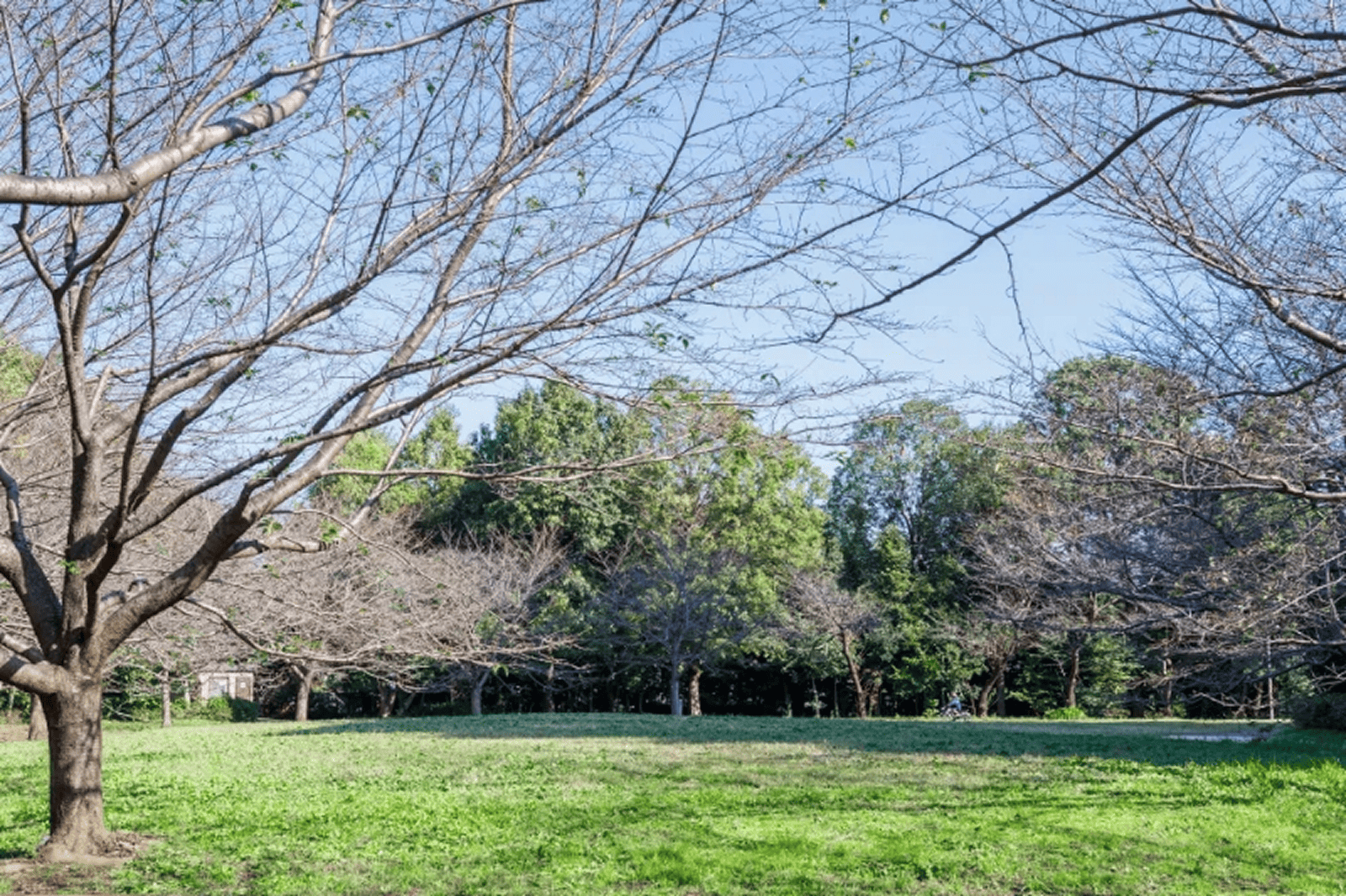 民設萩山四季の森公園