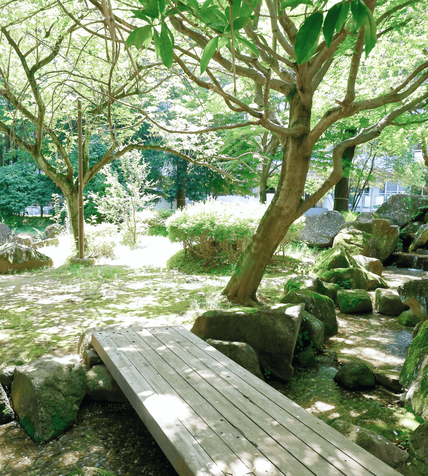 ▪️ロケーション