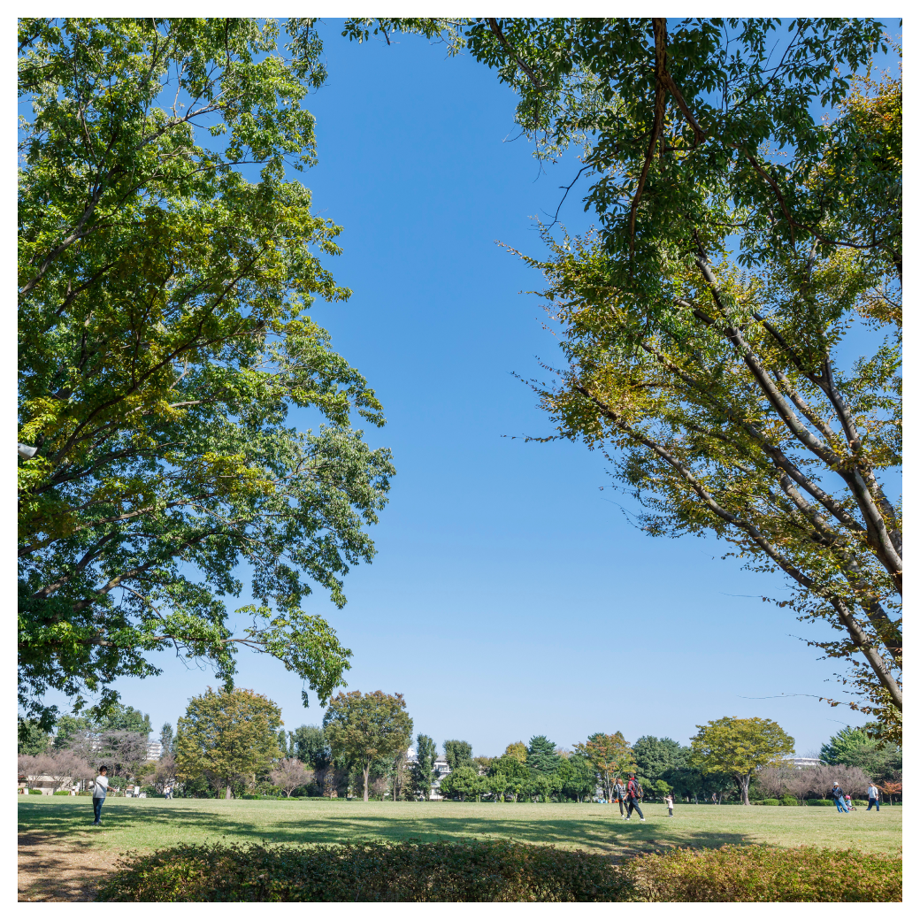 東村山中央公園