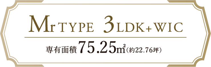 MrTYPE