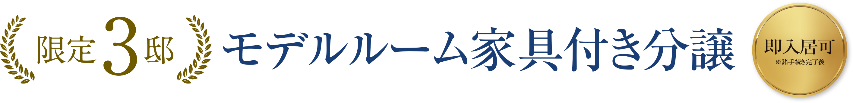 限定3邸 モデルルーム家具付き分譲 即入居可
