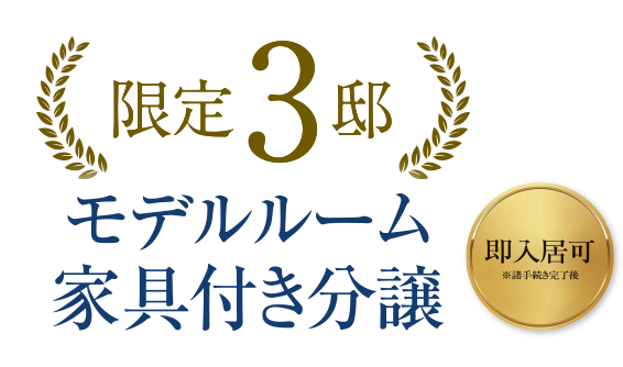 限定3邸 モデルルーム家具付き分譲 即入居可