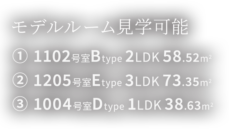 モデルルーム見学可能 1102号室Btype 2LDK 58.52m² 1205号室Etype 3LDK 73.35m² 1004号室Dtype 1LDK 38.63m²