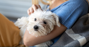 マルチケアスペース