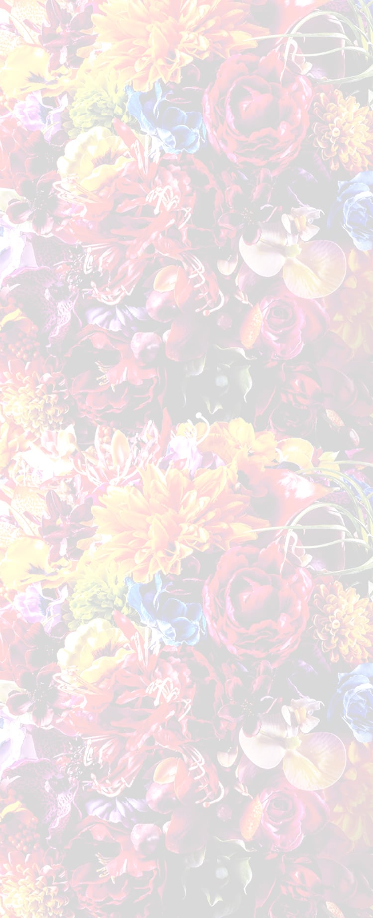 image photo